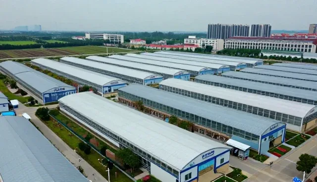 门诊业务技术选型：关键要素与实操路径